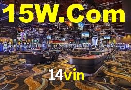 14vin App Interface