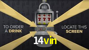 Premium Interface 14vin